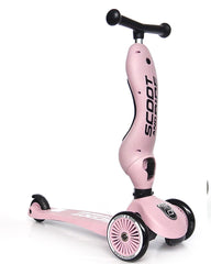 Scott & Ride Monopattino e Triciclo 2 in 1 , da 1 a 5 anni